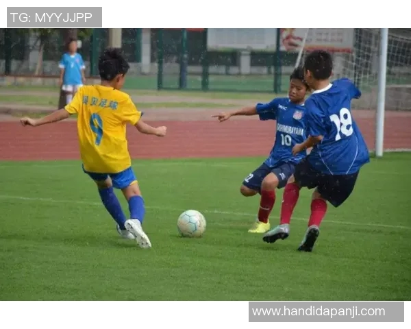 杭州足球队在精英赛中的状态分析与表现评估