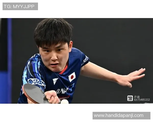 张本智和与波尔精彩对决全程录像回放分析与精彩瞬间集锦