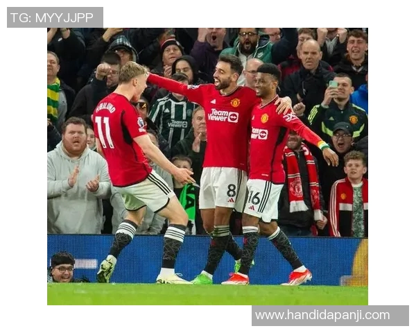 曼联与谢菲尔德精彩对决录像回放分析与精彩瞬间回顾