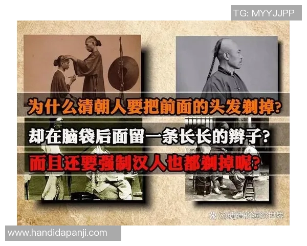 谢什科的传奇人生与不为人知的故事揭秘