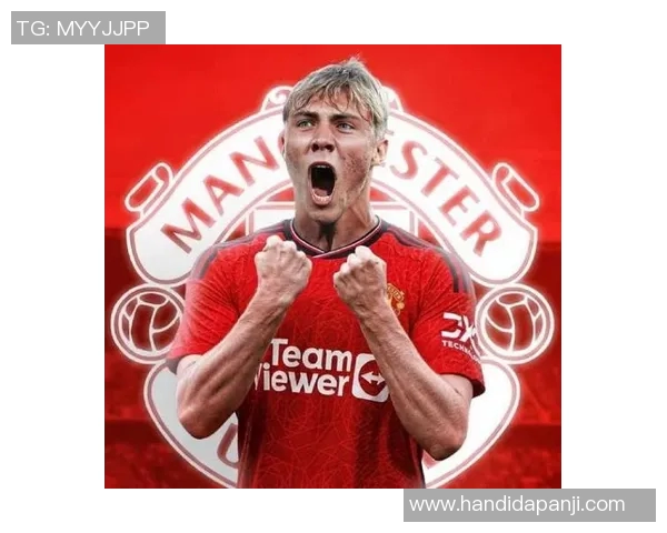 霍伊伦的传奇人生与时代变迁的交织探索