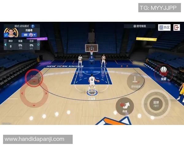 尼古拉约基奇：从塞尔维亚篮球天才到NBA超级巨星的传奇之路