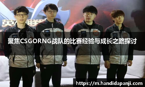 聚焦CSGORNG战队的比赛经验与成长之路探讨