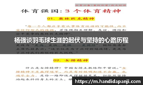 333体育官网
